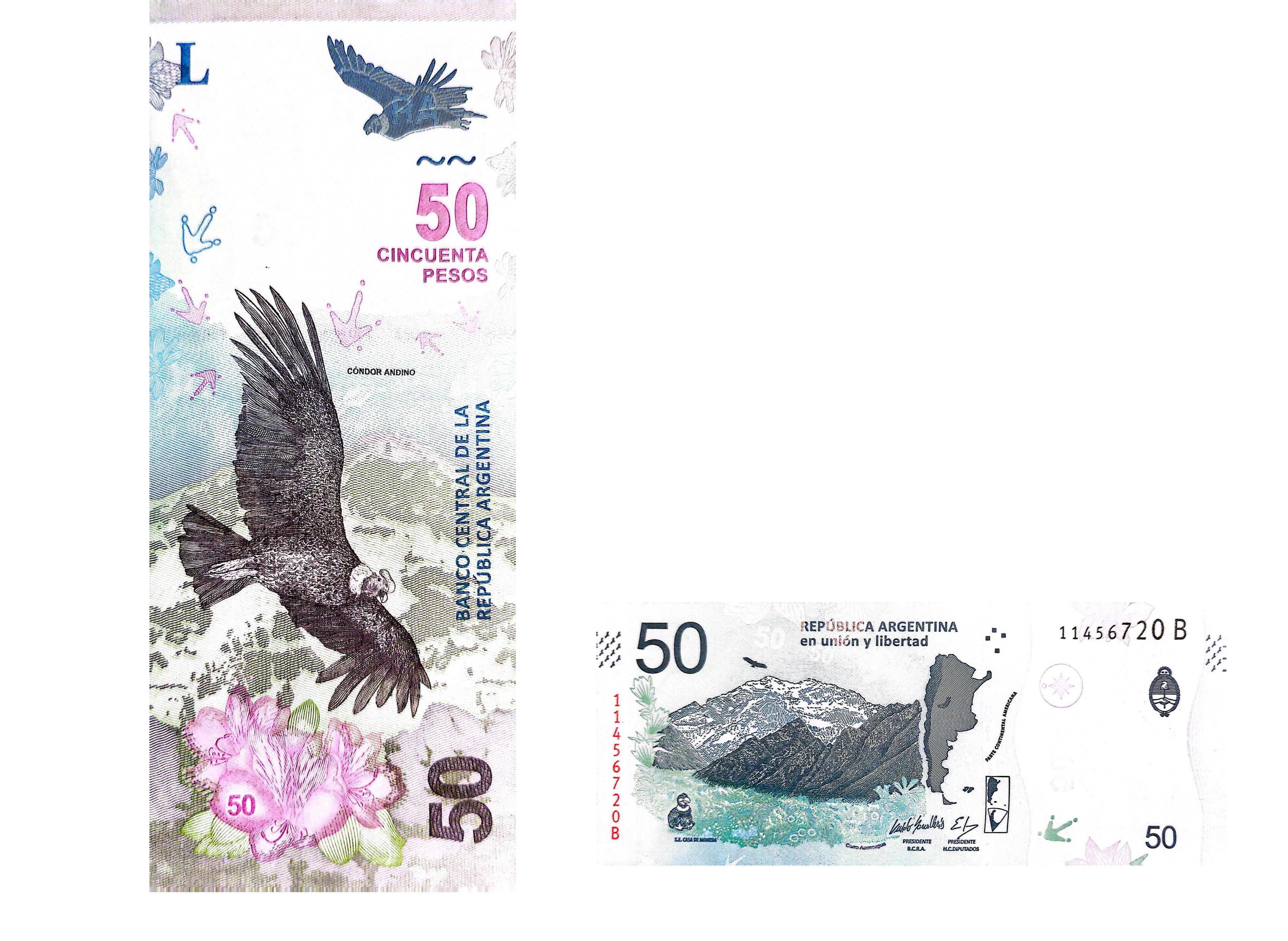 Argentina #363  50 Pesos